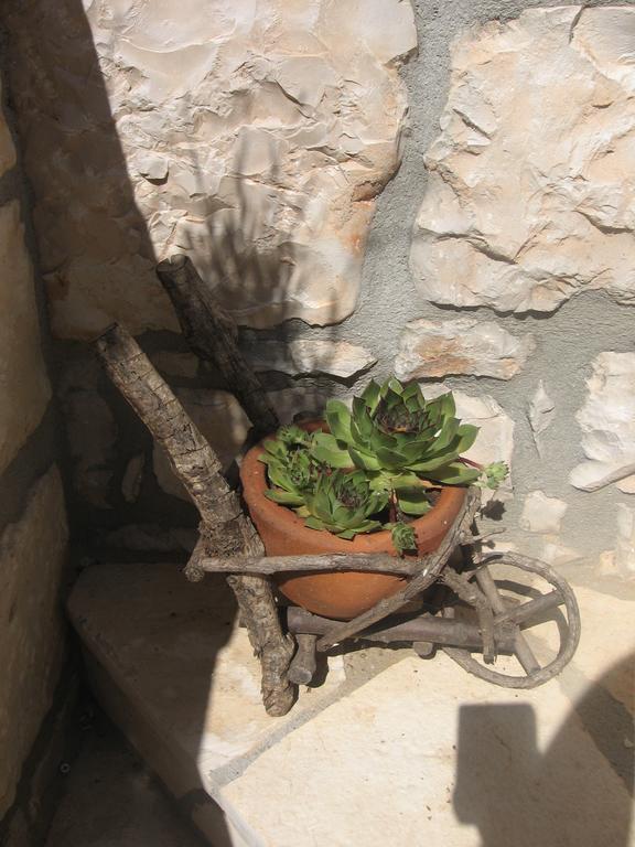 Apartment Baladur Umag Exterior photo